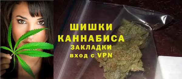 твердый Богородск