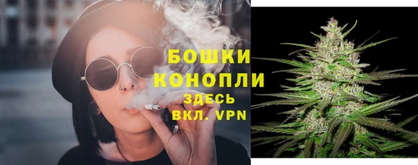 твердый Богородск