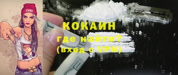 твердый Богородск