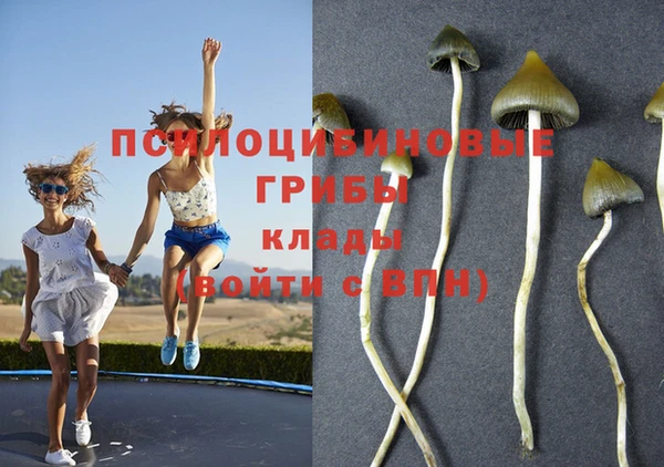 кокаин Богородицк