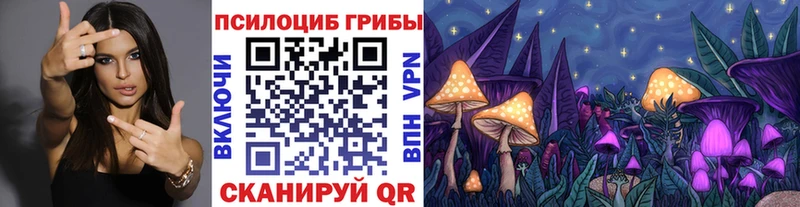 Псилоцибиновые грибы MAGIC MUSHROOMS  Юрга 