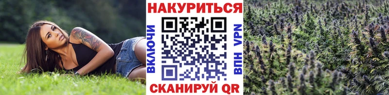 Бошки Шишки марихуана  продажа наркотиков  мориарти какой сайт  Юрга 